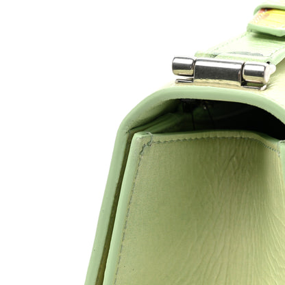 Balenciaga Shiny Paper Calfskin Floral Printed Large Crush Sling Bag Green 17 of 17