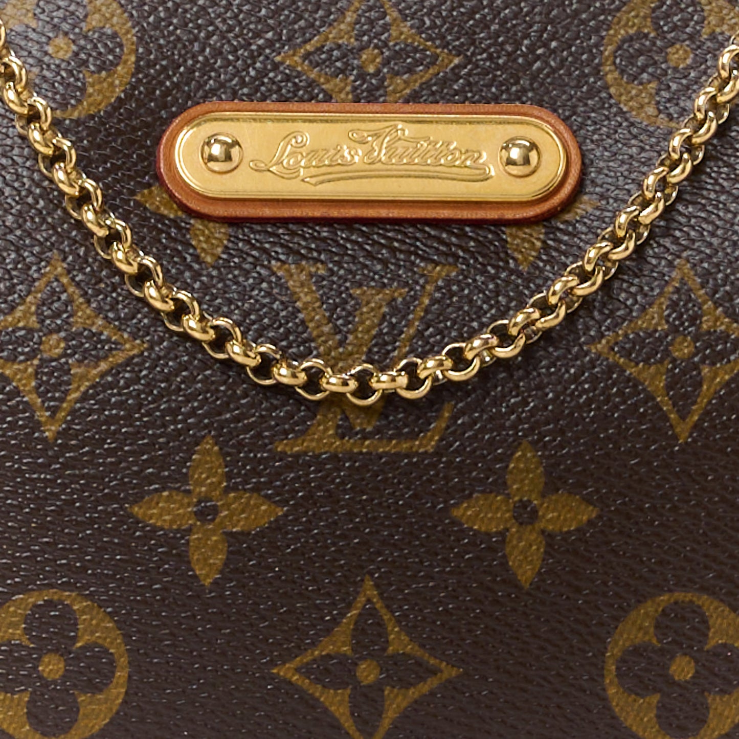 LOUIS VUITTON Monogram Eva Clutch