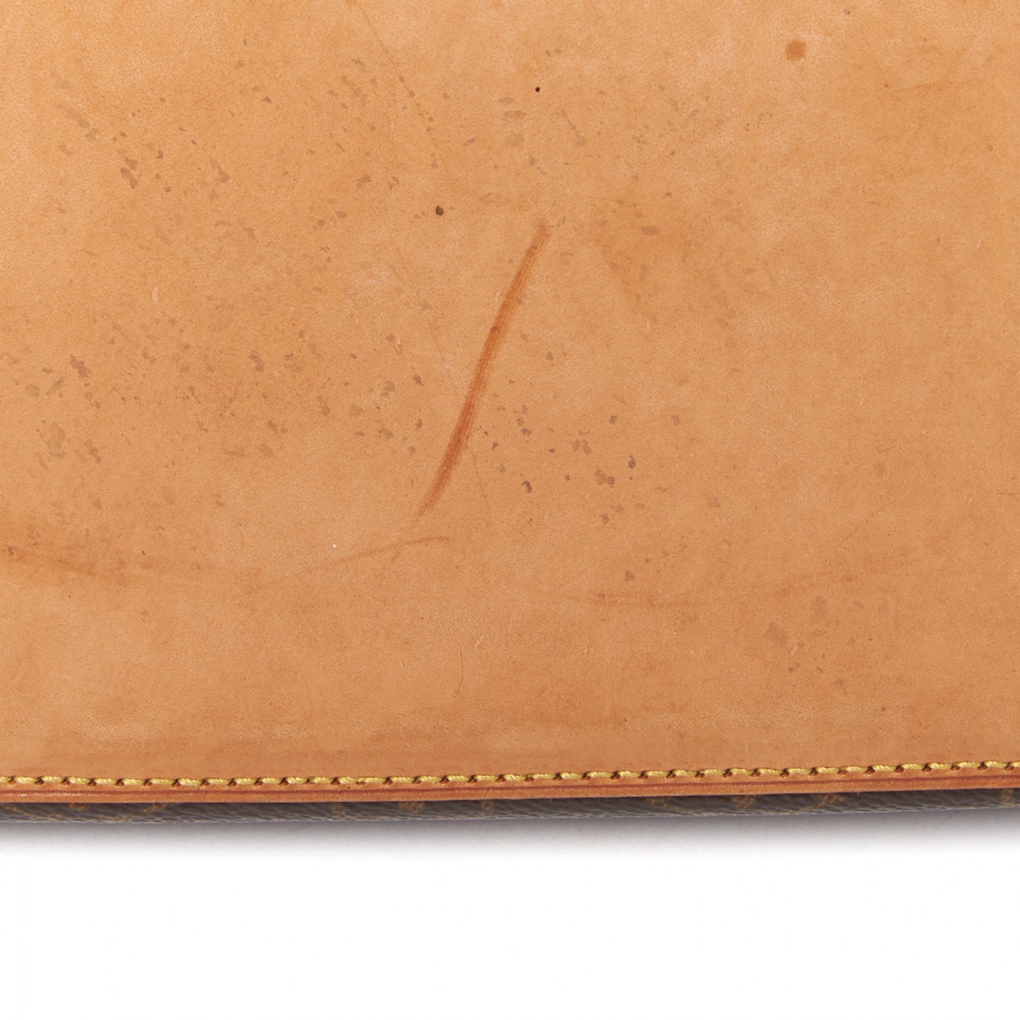 Monogram Cabas Mezzo