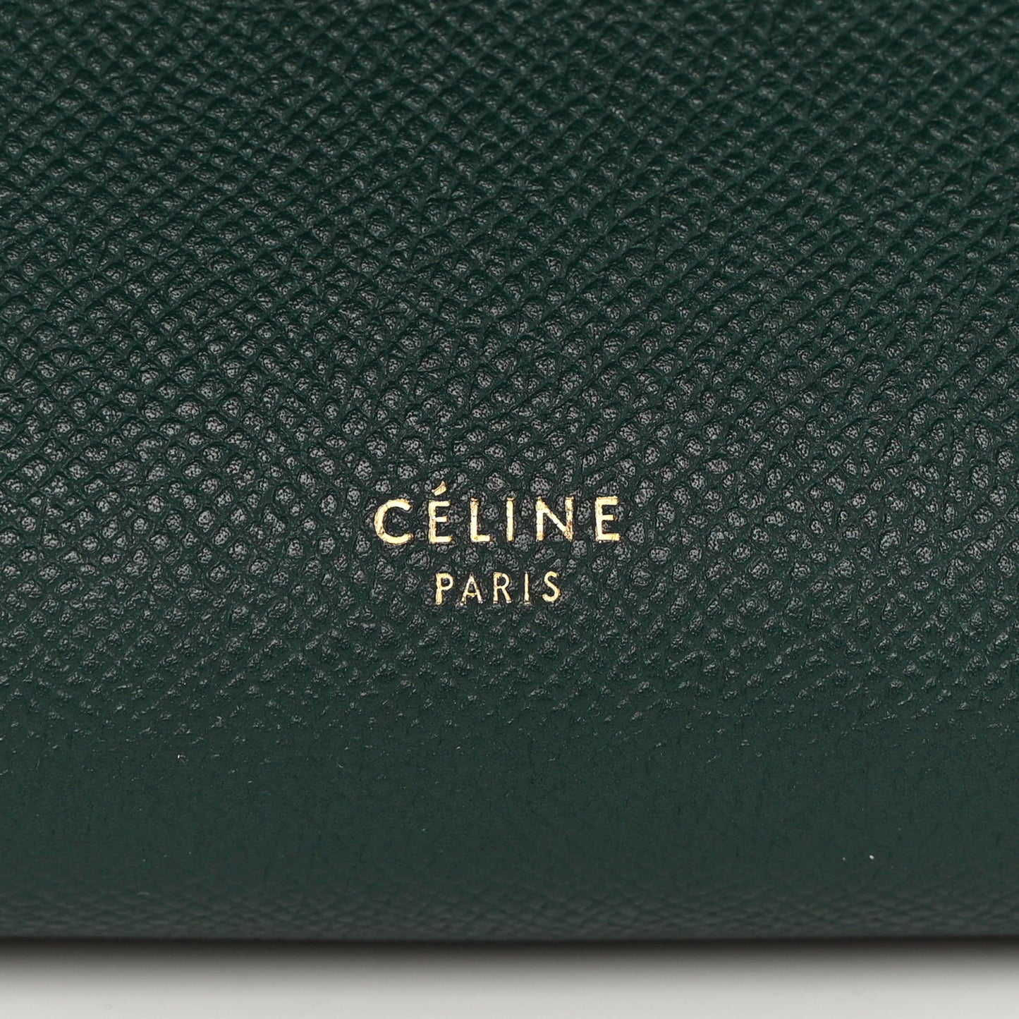 Grained Calfskin Micro Belt Bag Amazone