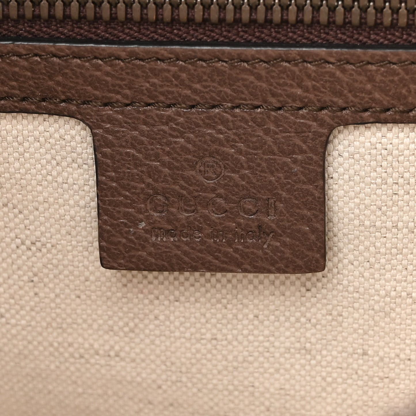GG Supreme Monogram Web Small Ophidia Half Moon Hobo Brown