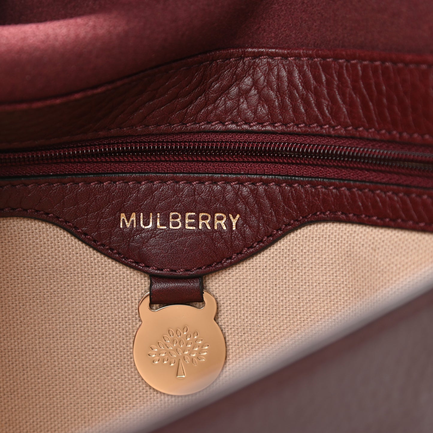 Soft Small Grain Tessie Satchel Oxblood