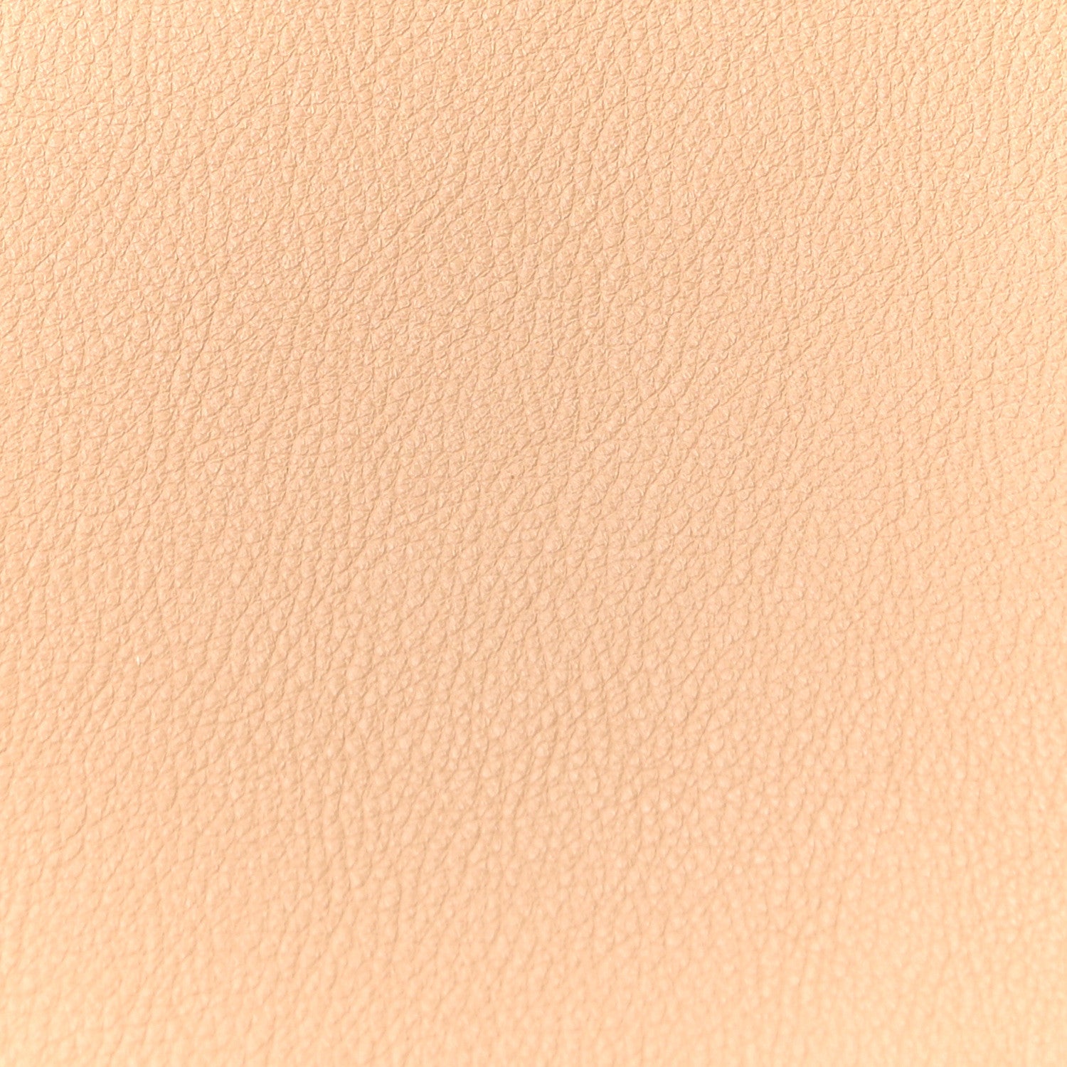 Mansur Gavriel Supple Calfskin Everyday Soft Tote Sandstone 9 of 11