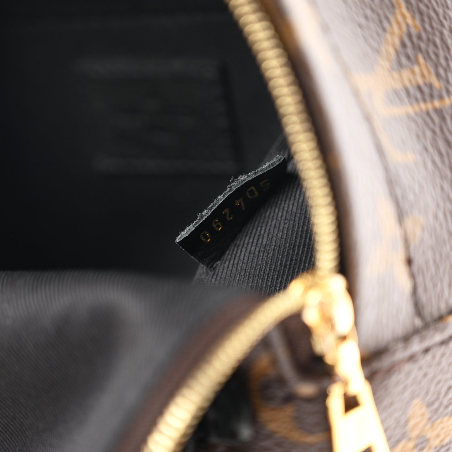 Monogram Palm Springs Backpack Mini