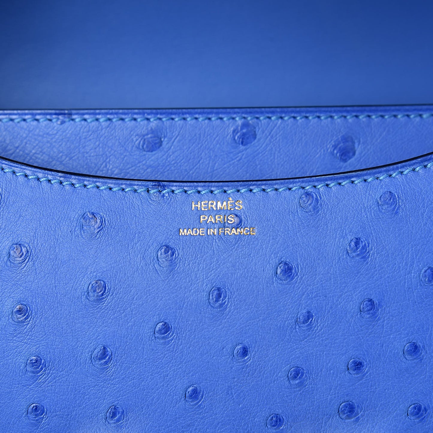 Ostrich Constance 18 Bleuet