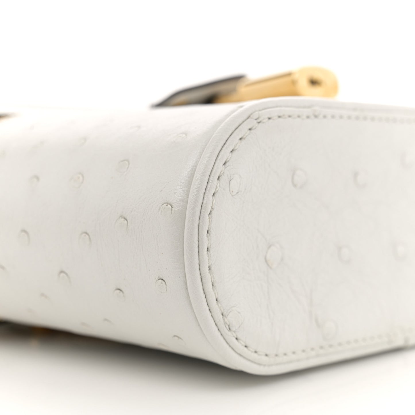 Ostrich Vanity Chain Pouch