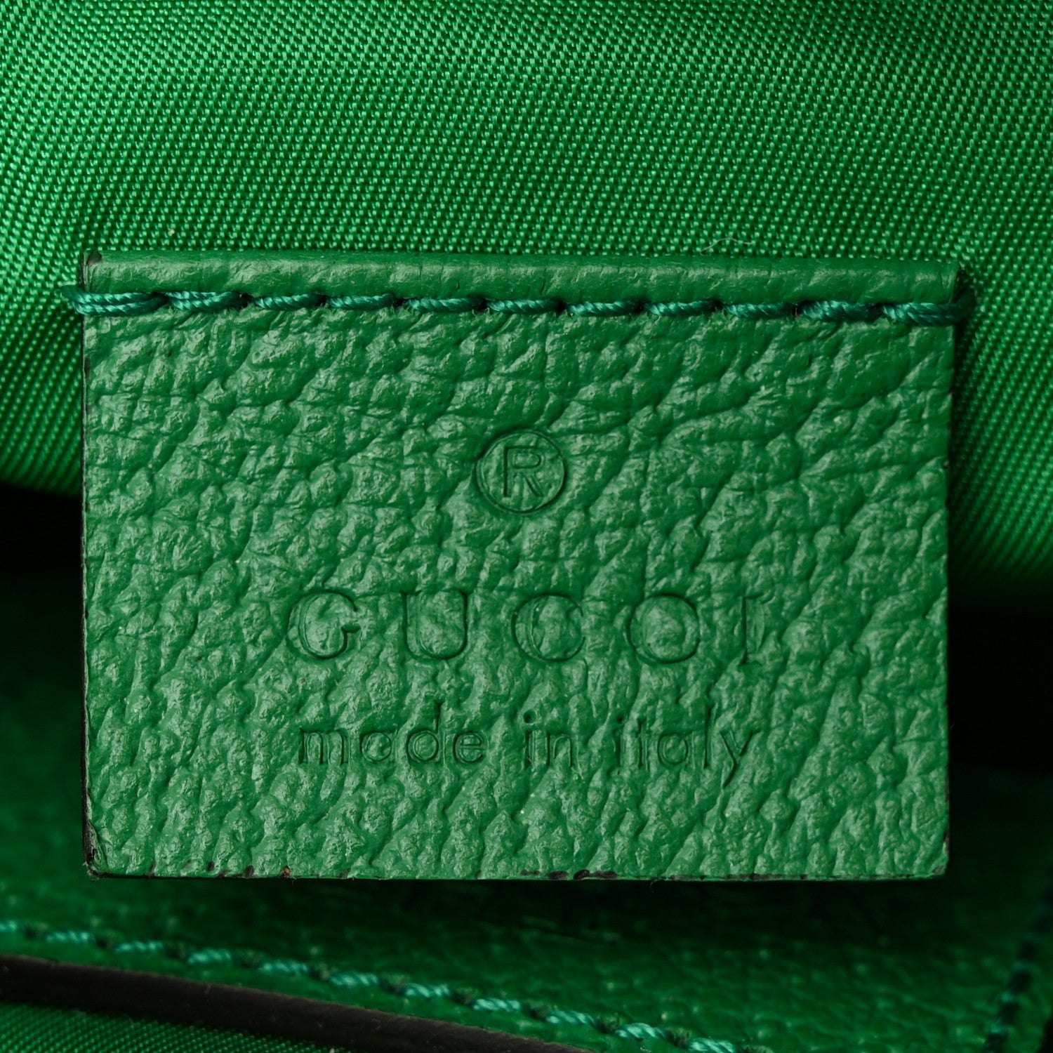 Gucci X THE NORTH FACE Econyl Nylon Textured Dollar Calfskin Belt Bag Black Turquoise New Shamarock New Cherry Red 6 of 11