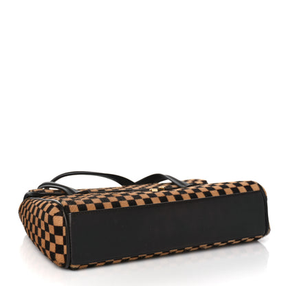 Louis Vuitton Damier Calf Hair Sauvage Lionne 4 of 8