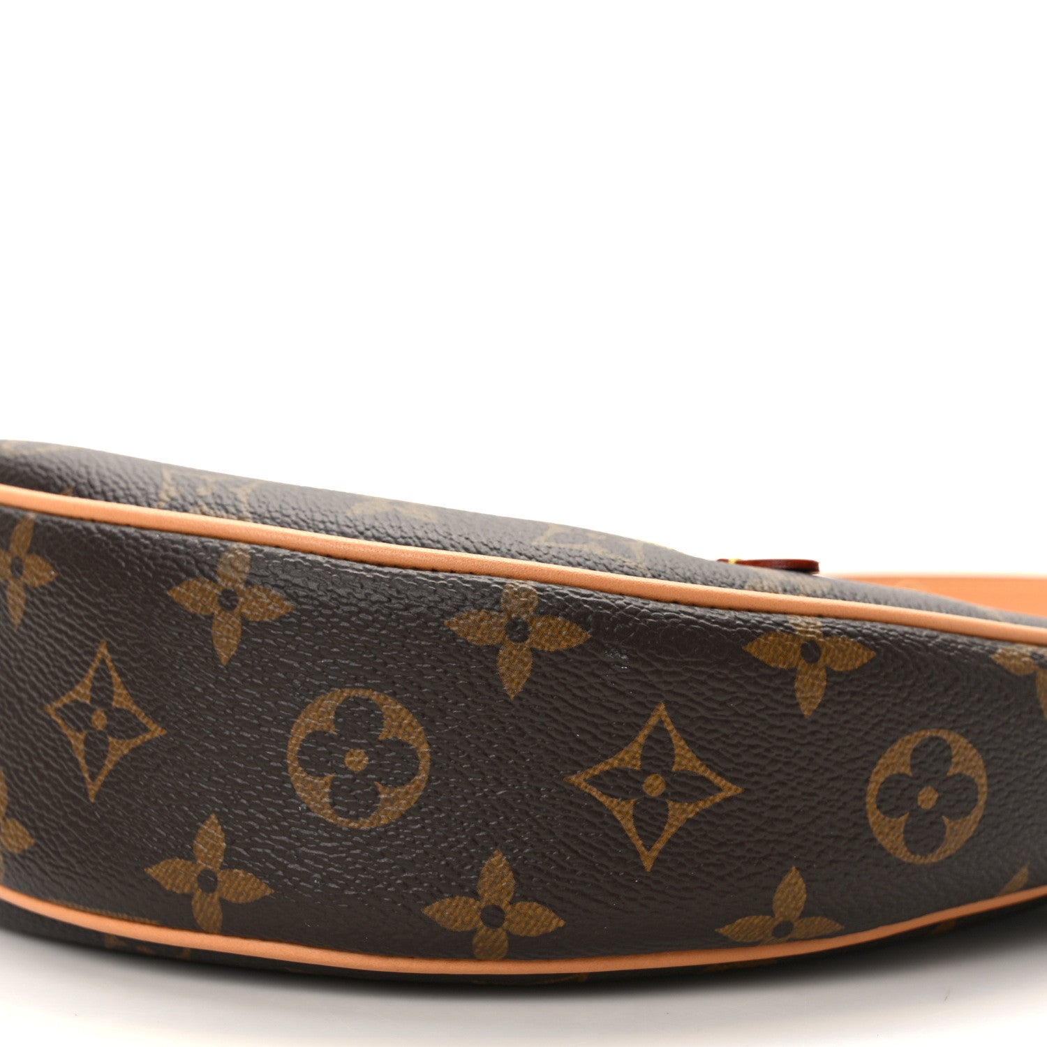 Louis Vuitton Monogram Loop 9 of 11