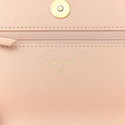 Chanel Lambskin Quilted Chanel 19 Wallet On Chain WOC Beige 5 of 10