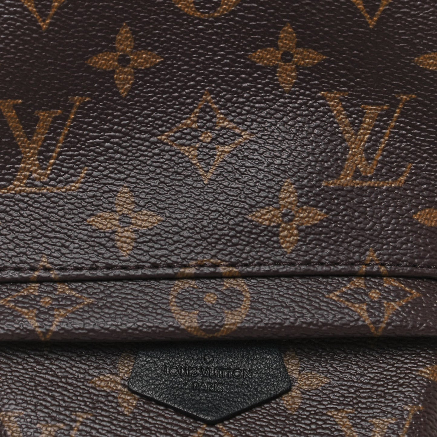 Monogram Palm Springs Backpack Mini