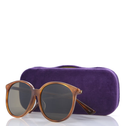 Gucci Acetate Frame Sunglasses GG0261SA Havana 8 of 8