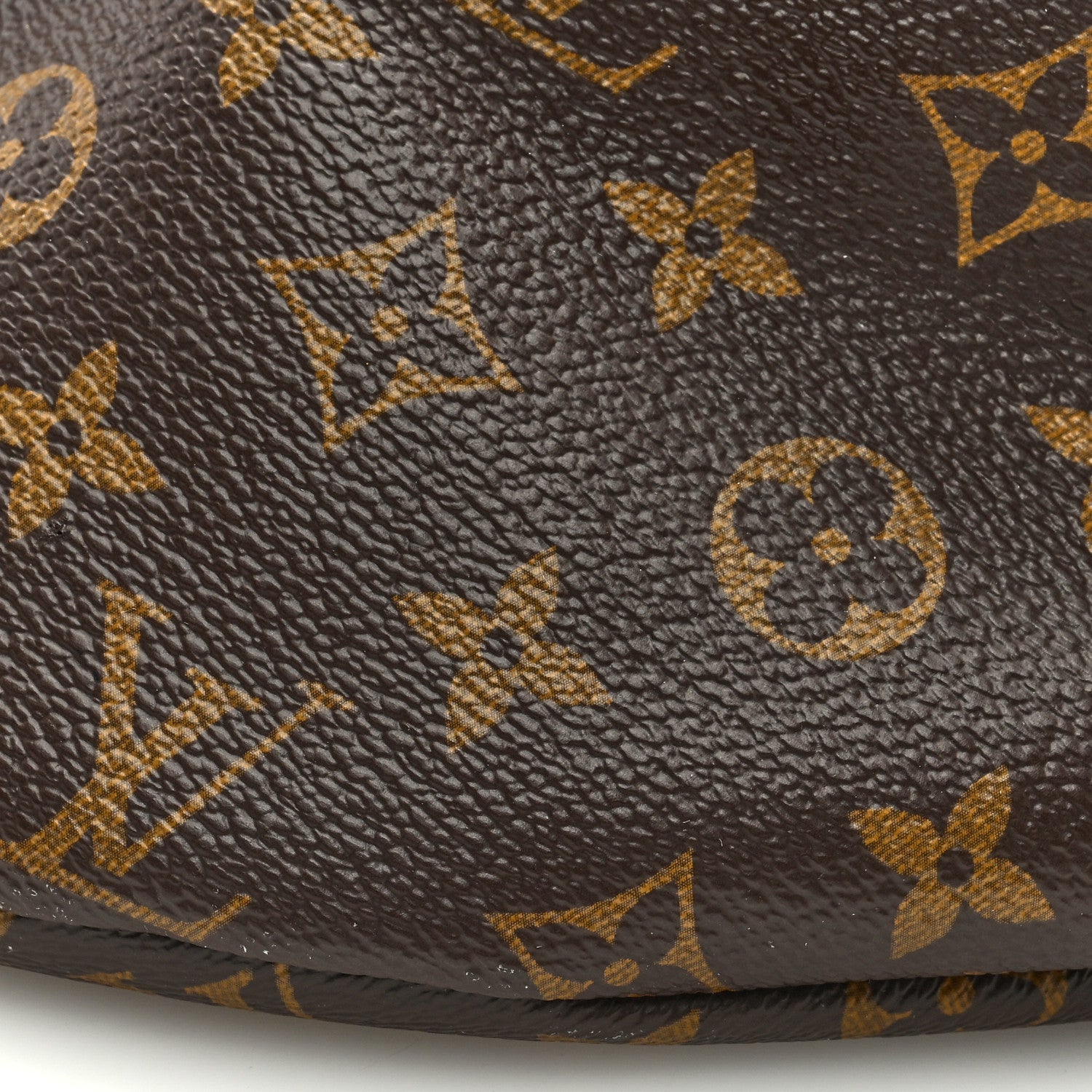 Louis Vuitton LOUIS VUITTON Monogram Bumbag 8 of 8