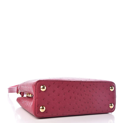 Louis Vuitton Ostrich Capucines BB Berry 4 of 9
