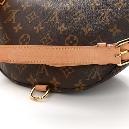 Louis Vuitton Monogram Bumbag 11 of 12
