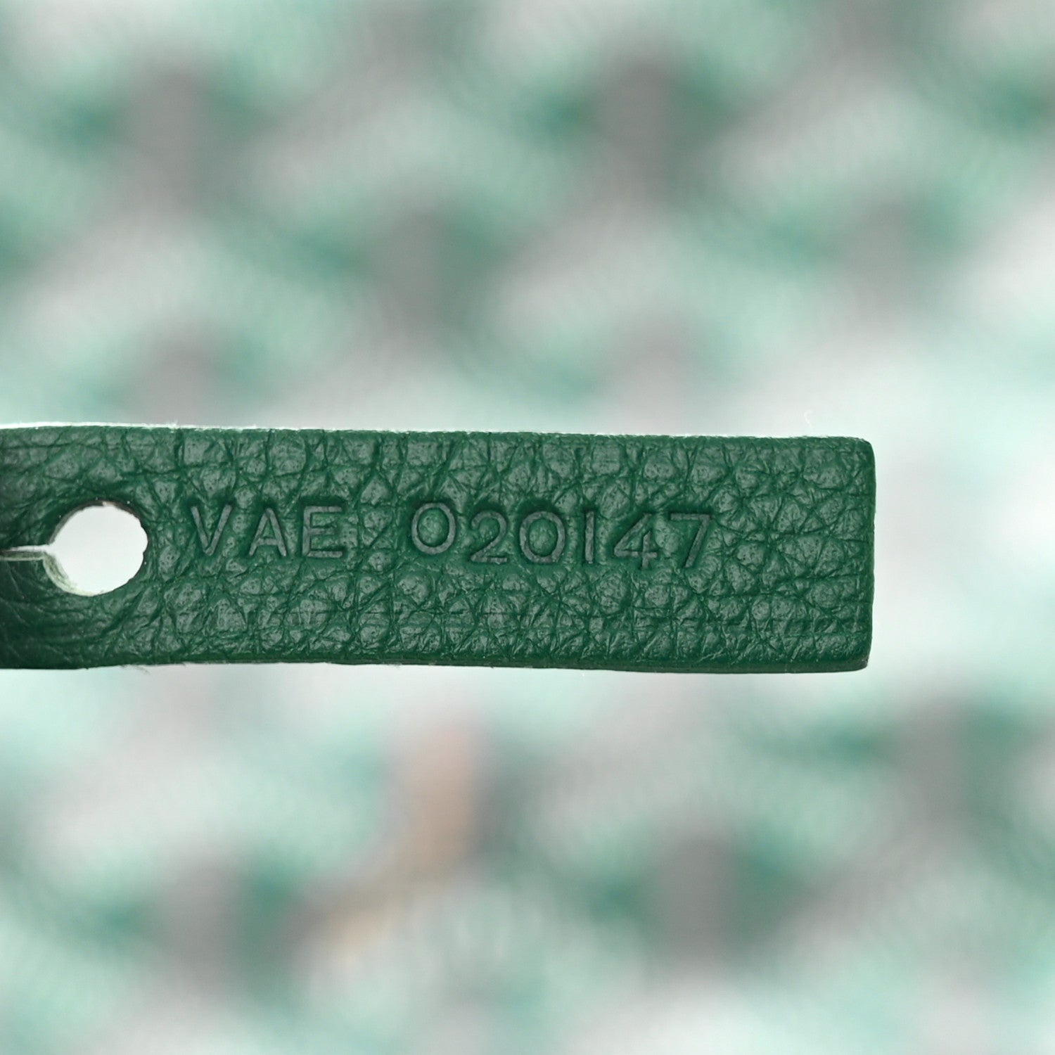 Goyard Goyardine Saint Louis GM Green 8 of 14