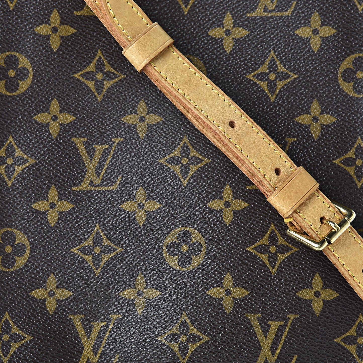Monogram Musette Salsa
