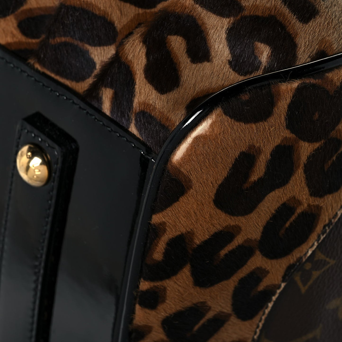 Monogram Leopard Stephen Bag