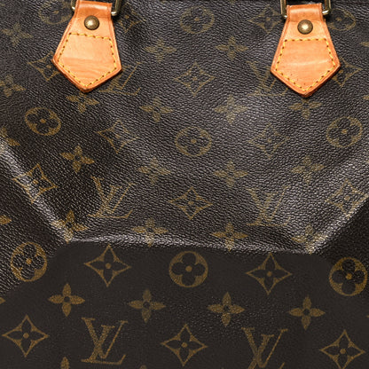 Louis Vuitton Monogram Speedy 30 8 of 14