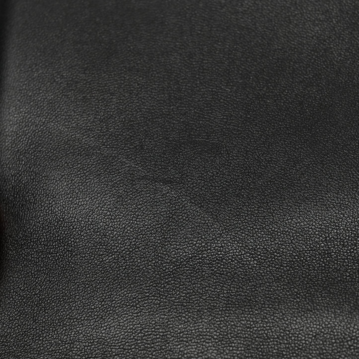 Goatskin Quilted Medium Chanel 19 Flap Black