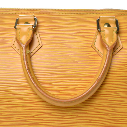 Louis Vuitton Epi Speedy 25 Tassil 8 of 15