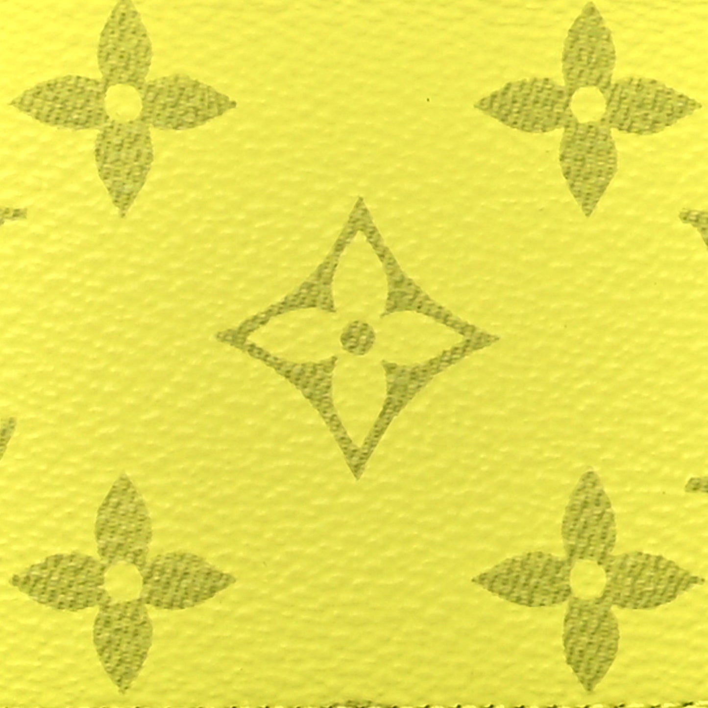Monogram Taiga Coin Card Holder Yellow