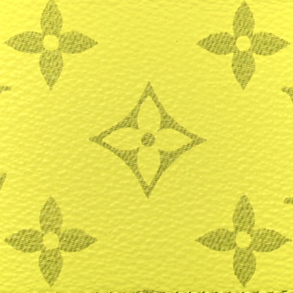 Louis Vuitton Monogram Taiga Coin Card Holder Yellow 8 of 8