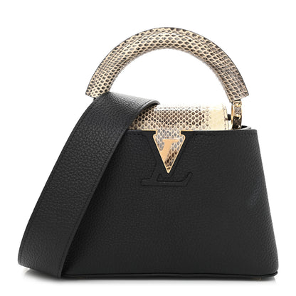 Louis Vuitton Taurillon Ayers Mini Capucines Black 1 of 9