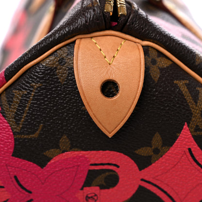 Louis Vuitton Monogram Bay Speedy 30 Rose Ballerine Poppy 13 of 16