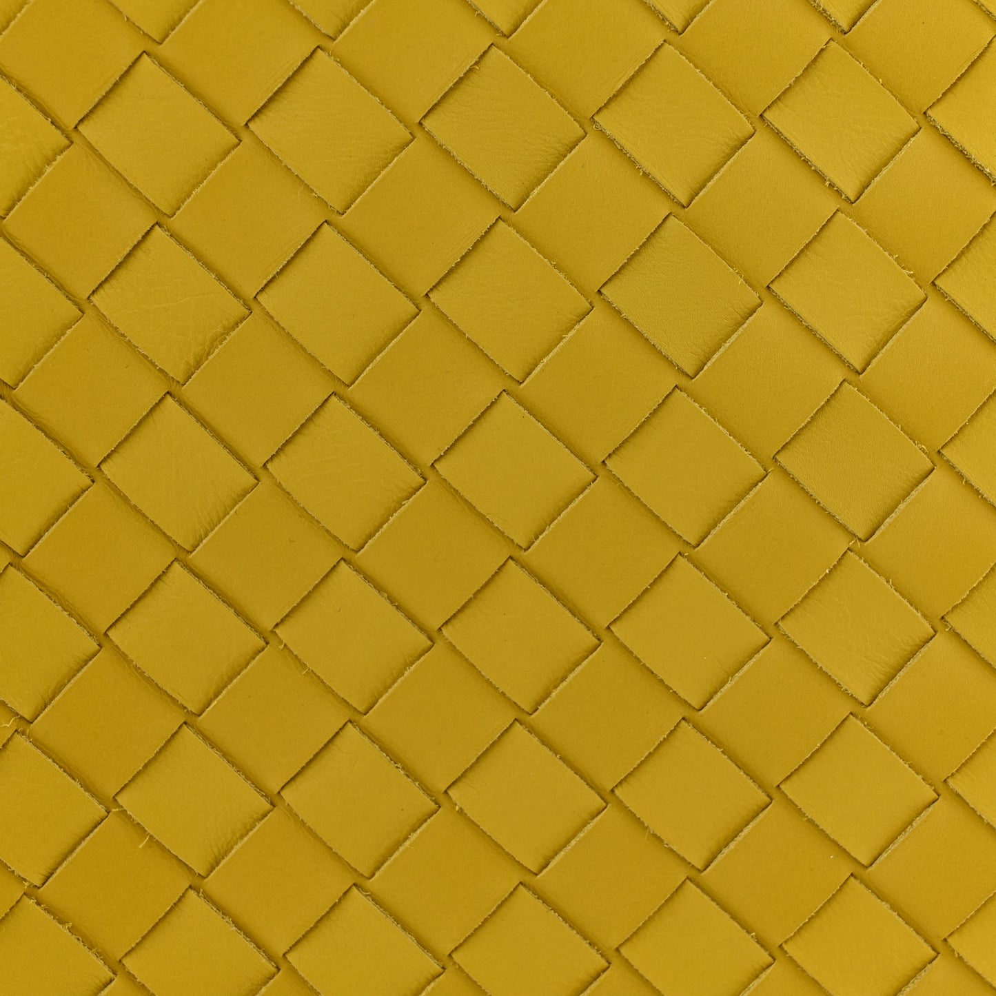 Nappa Intrecciato Hydrology Pouch Bag Kiwi