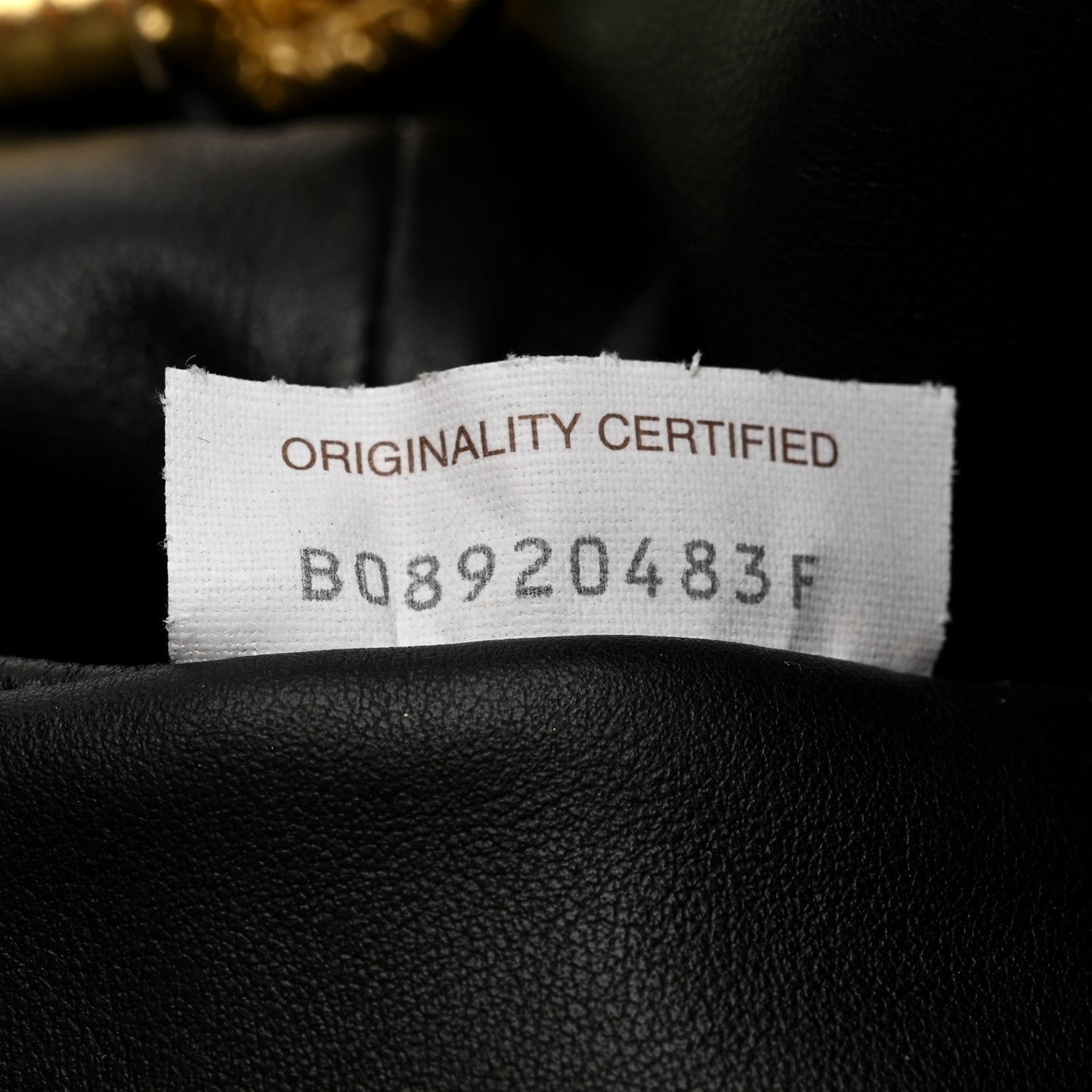 Metallic Bark Calfskin Embossed The Pouch Oversized Clutch Oro