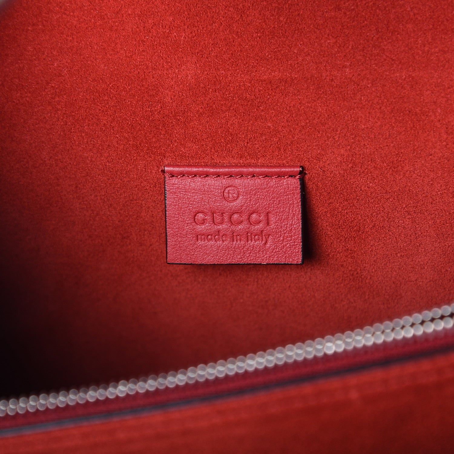 Gucci GG Supreme Monogram Suede Cudu Medium Dionysus Shoulder Bag Beige Ebony Vulcanic Red 5 of 8