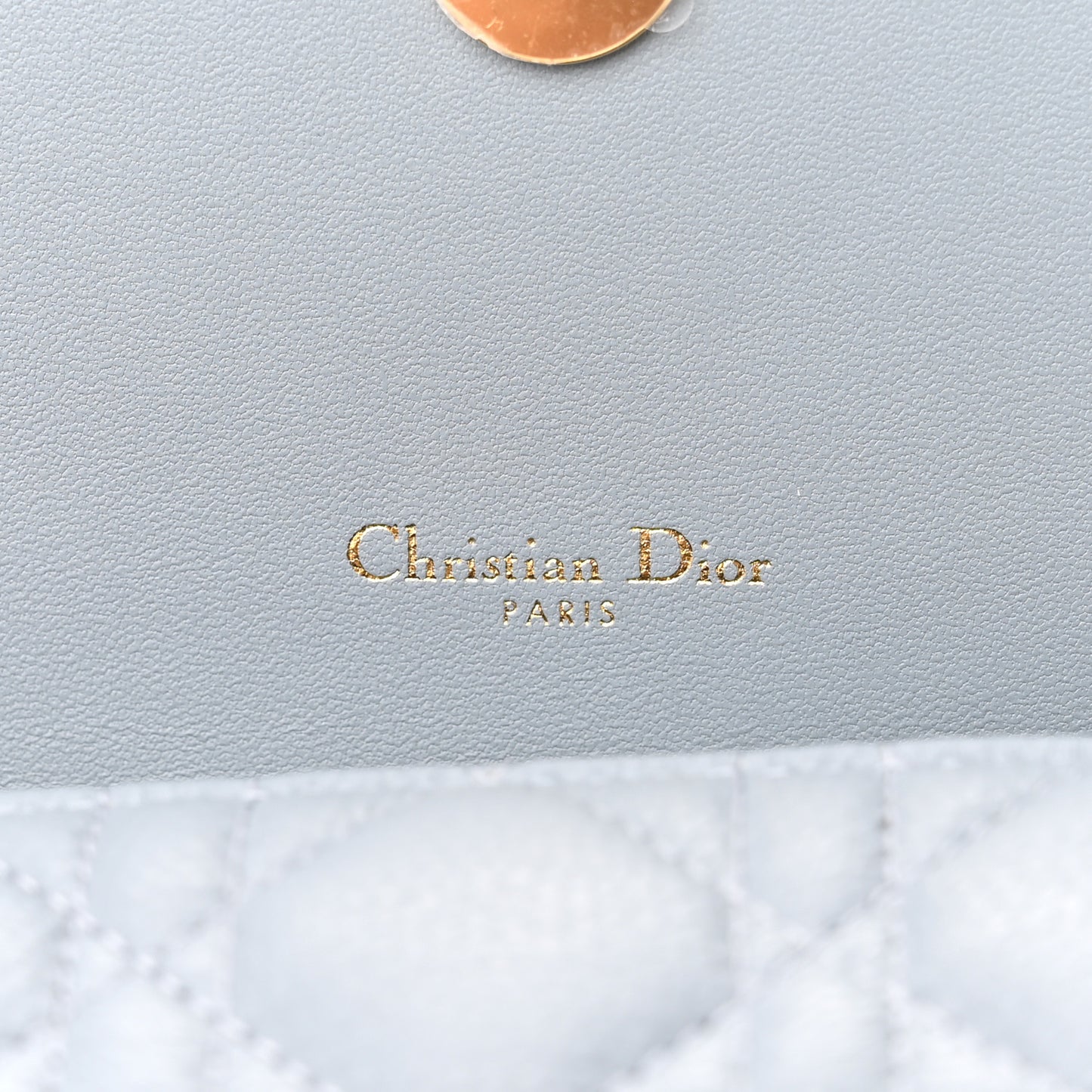 Supple Calfskin Caro Pouch with Chain Cloud Blue