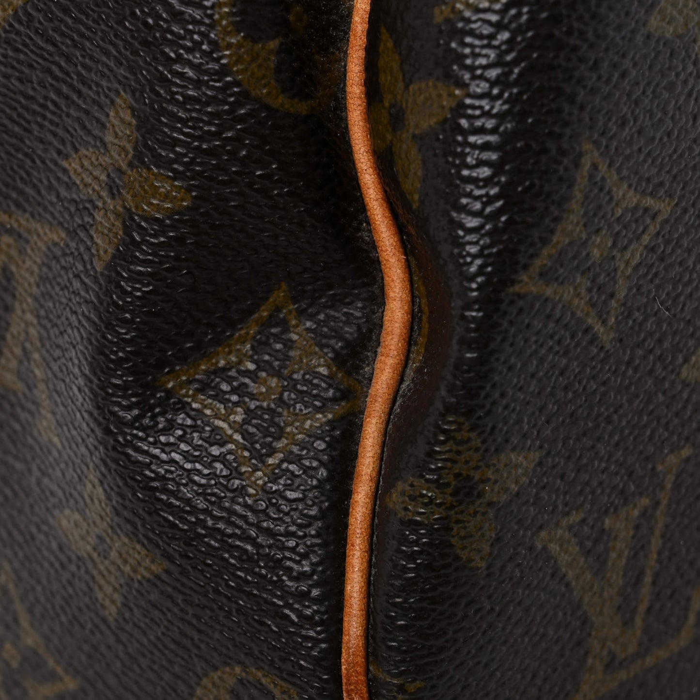Monogram Speedy 25