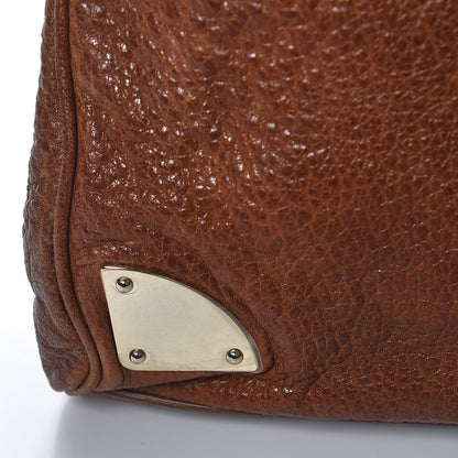 Mulberry Shiny Grained Lambskin Travel Day Oak 17 of 17
