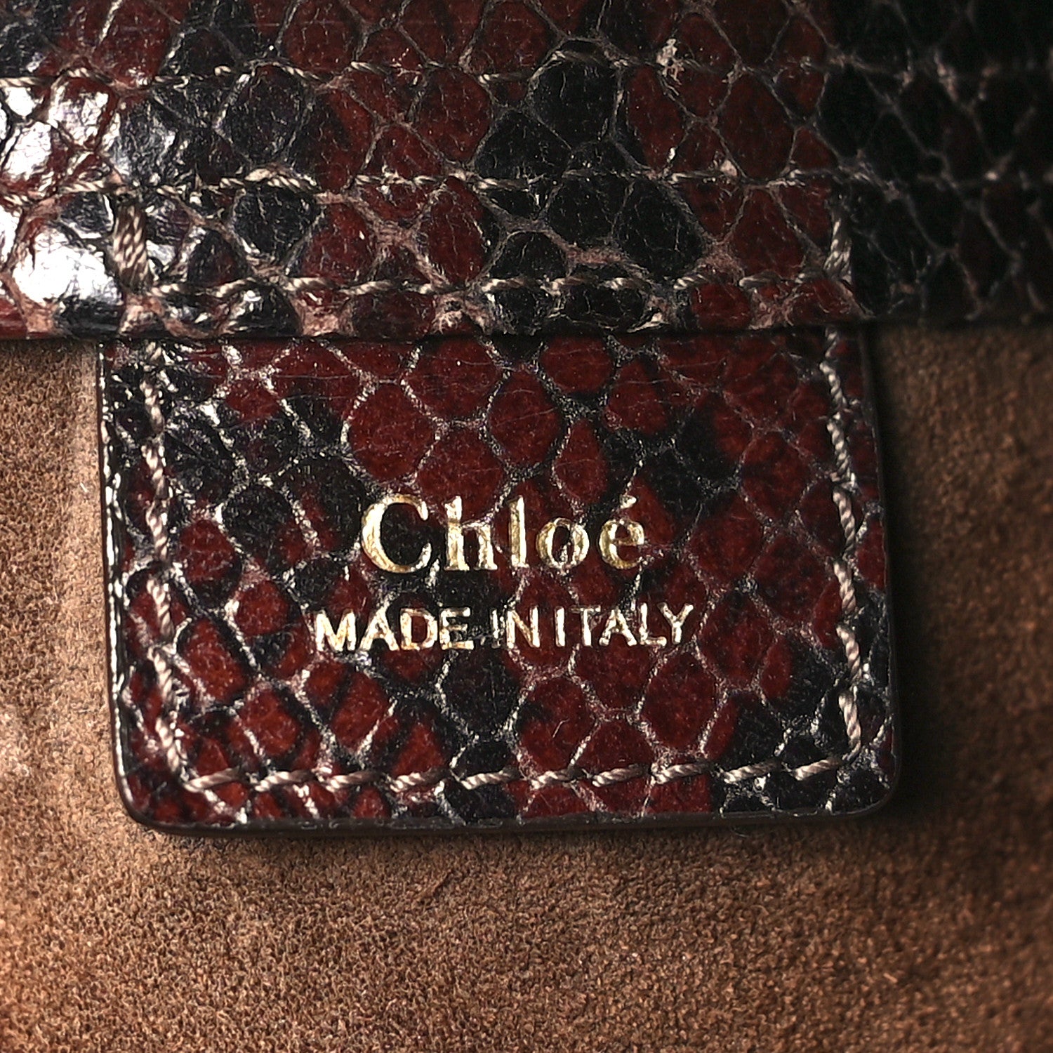 Chloe Goatskin Snakeskin Embossed Spin Tote Sooty Brown 6 of 11