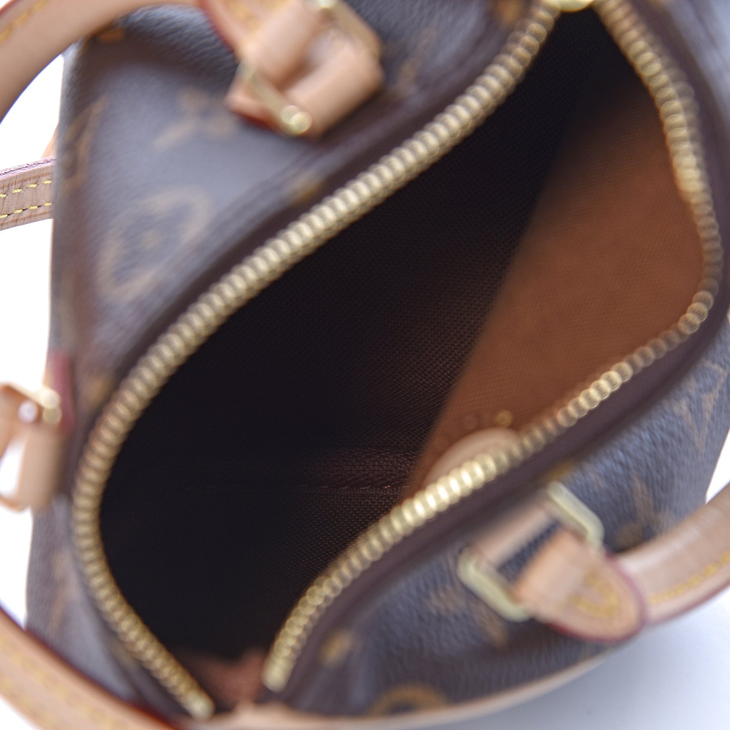 Monogram Nano Speedy