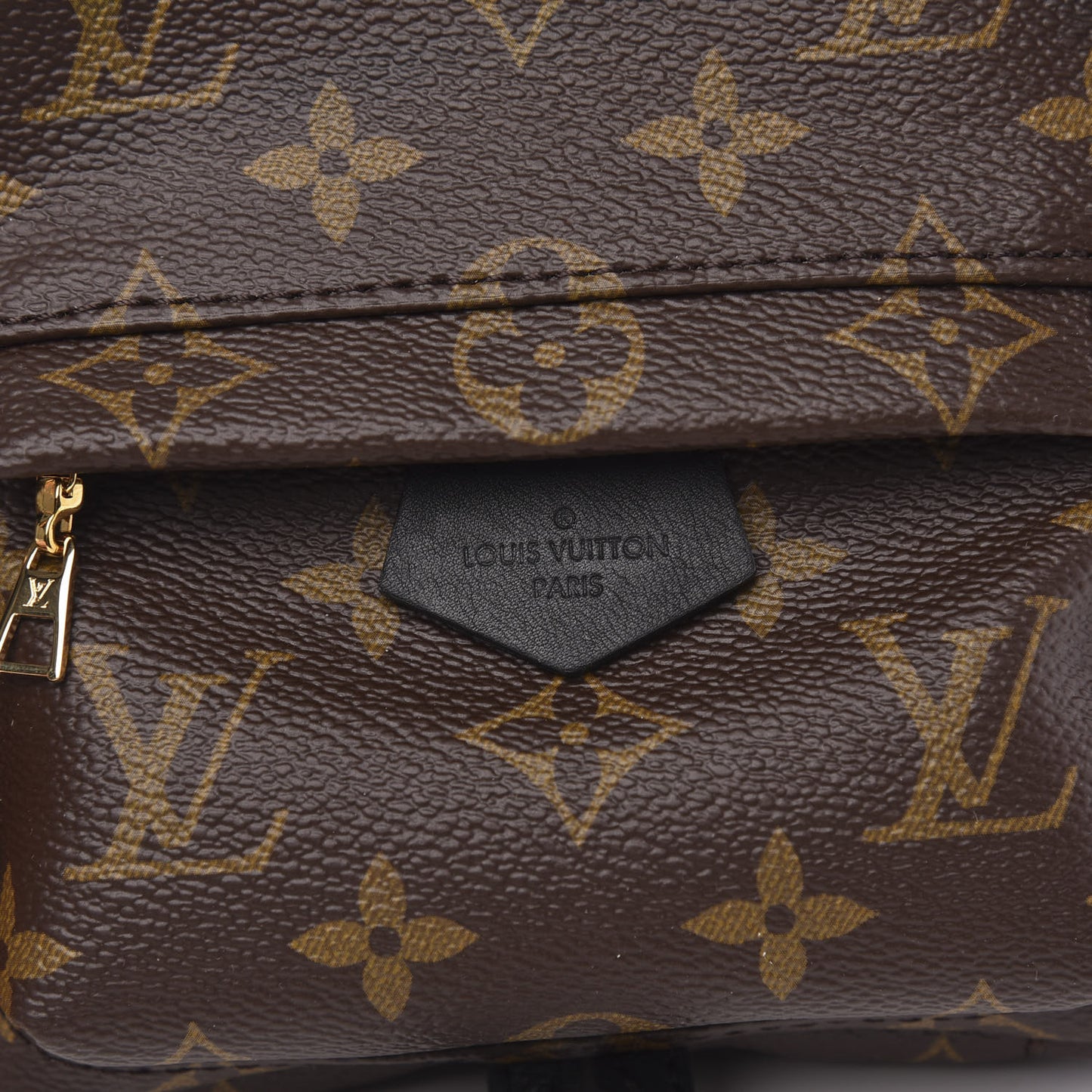 Monogram Palm Springs Backpack Mini