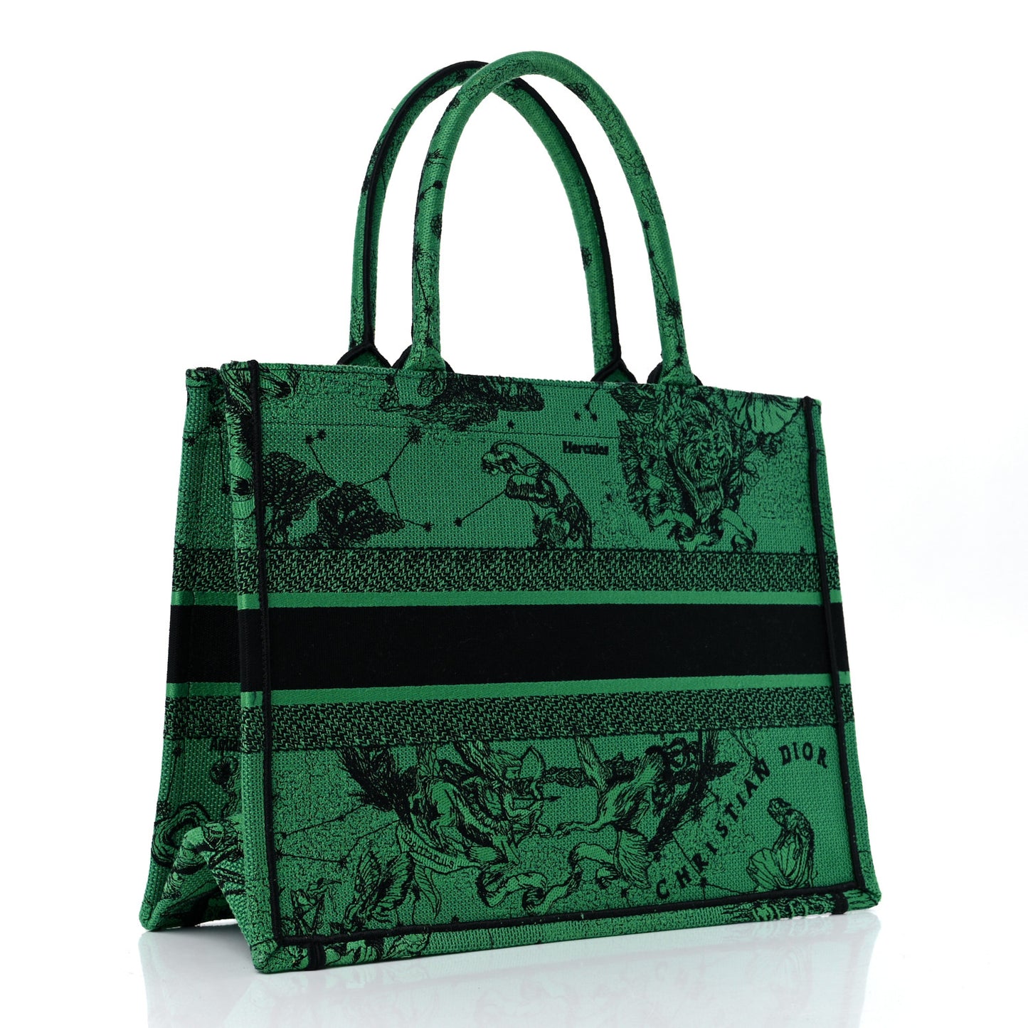 Canvas Embroidered Medium Zodiac Toile De Jouy Book Tote Green