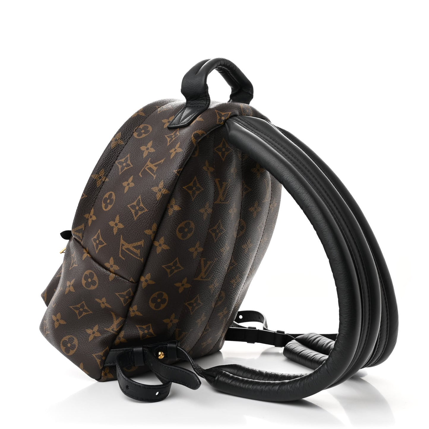 Monogram Palm Springs Backpack PM
