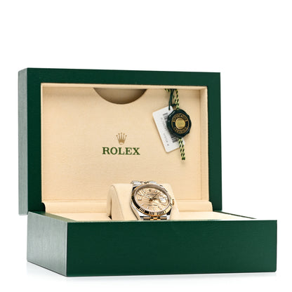 Rolex Stainless Steel 18K Yellow Gold 36mm Oyster Perpetual Datejust Watch Golden Palm 126233 5 of 5