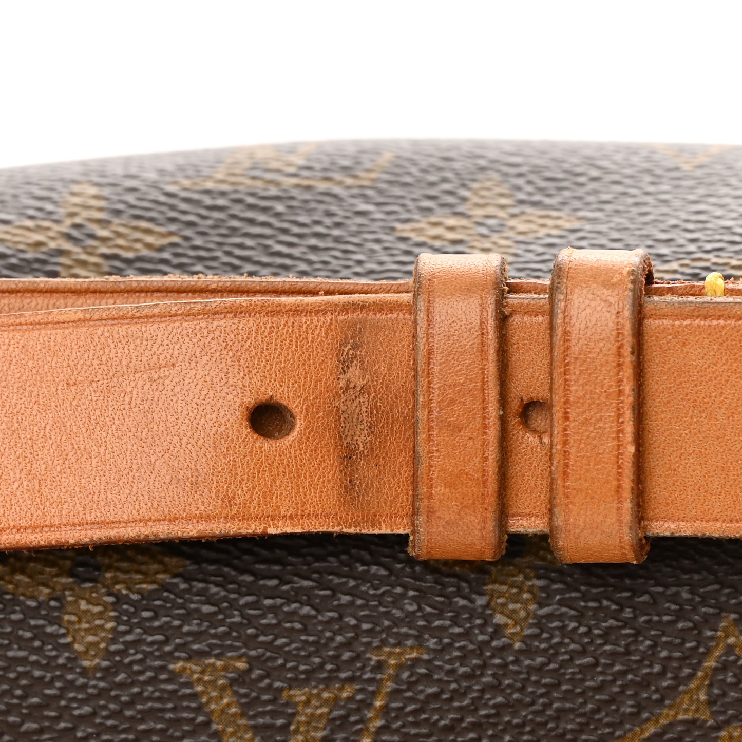 Monogram Cartouchiere 22