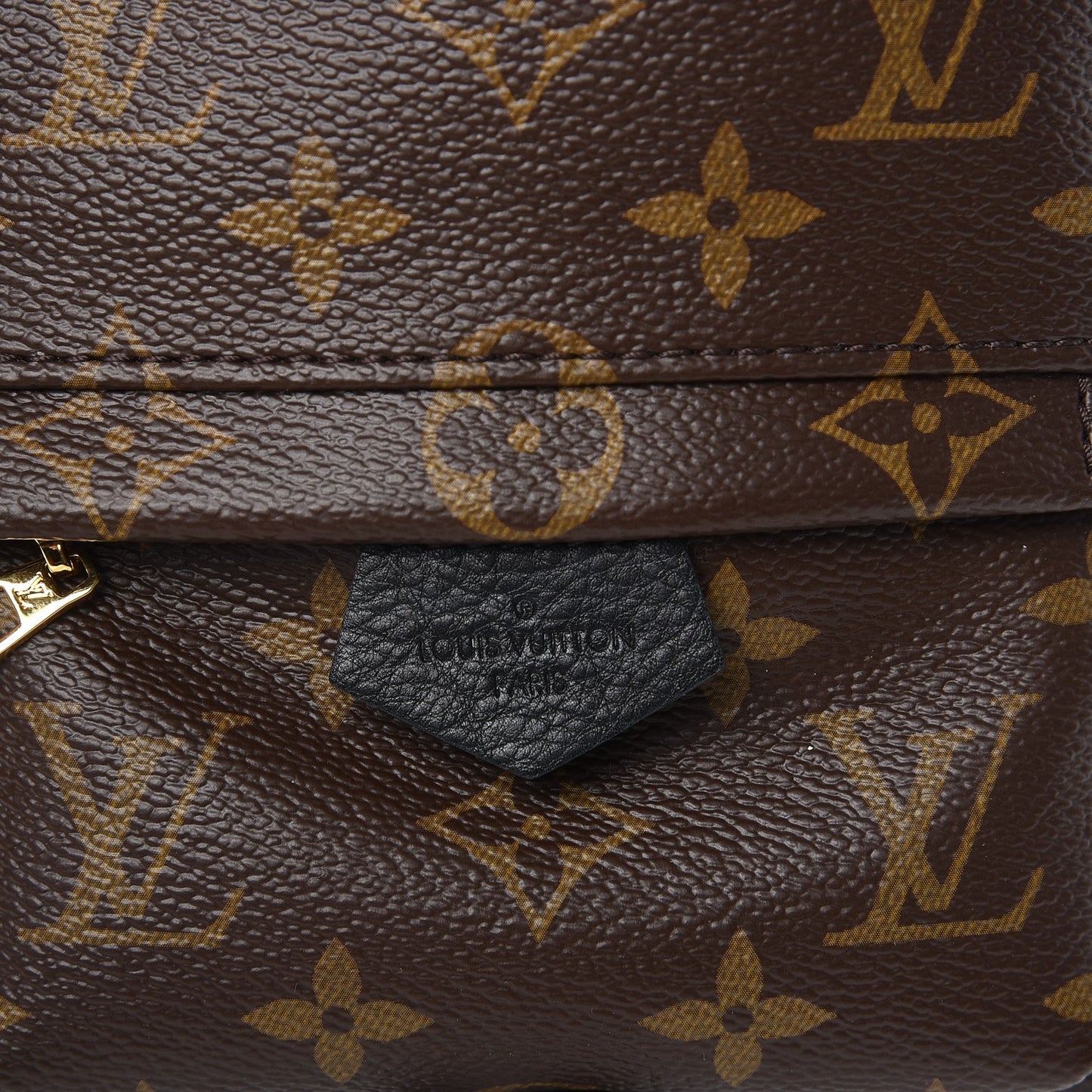 Monogram Palm Springs Backpack Mini