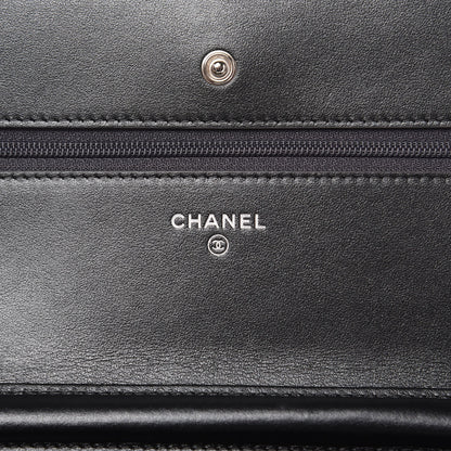 Chanel Iridescent Aged Calfskin Quilted Tassel Wallet On Chain WOC Dark Silver 6 of 12