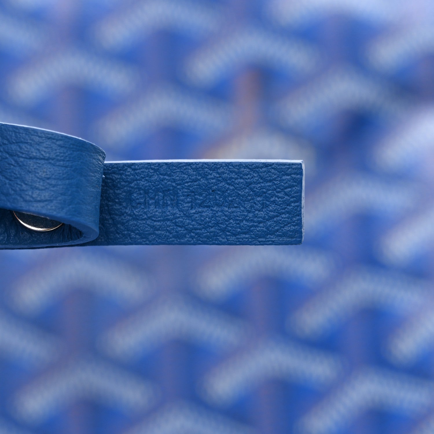 Goyard Goyardine Saint Louis PM Sky Blue 7 of 13