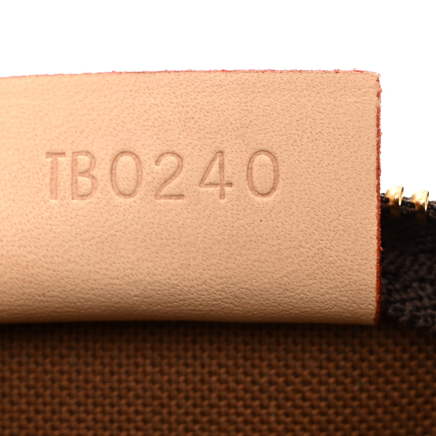 Monogram Nano Speedy