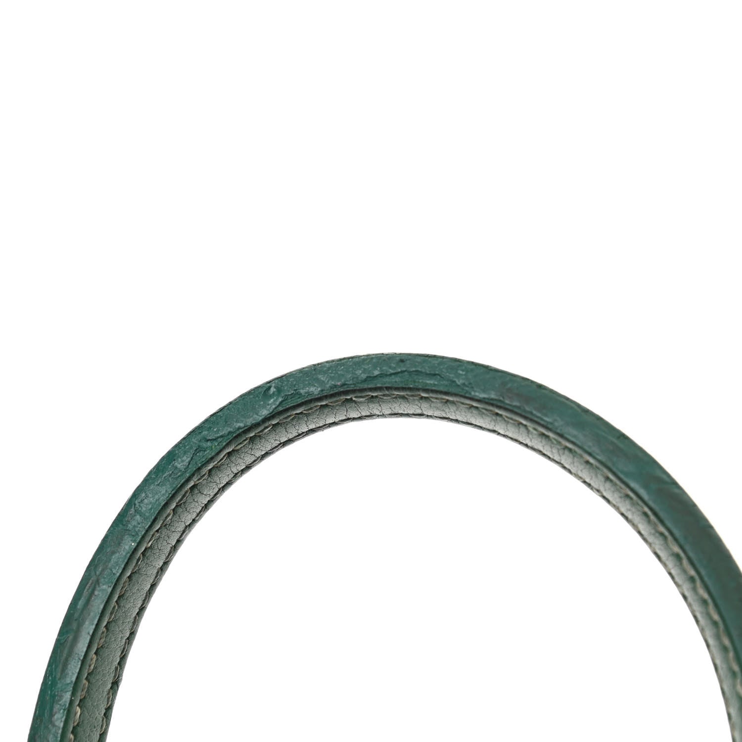 Goyard Goyardine Saint Louis PM Green 18 of 18