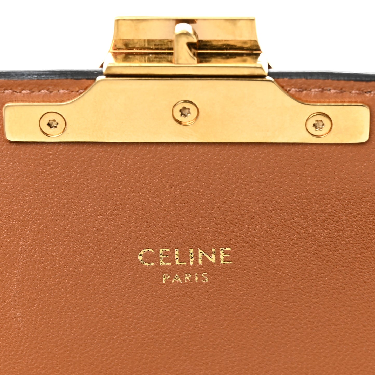 Triomphe Canvas Calfskin Medium Triomphe Bag Tan