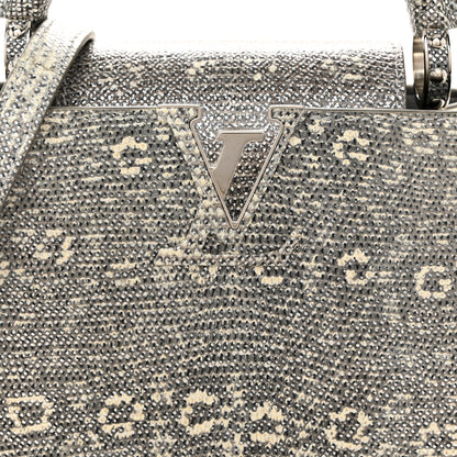 Louis Vuitton Lizard Mini Capucines Argento 7 of 10