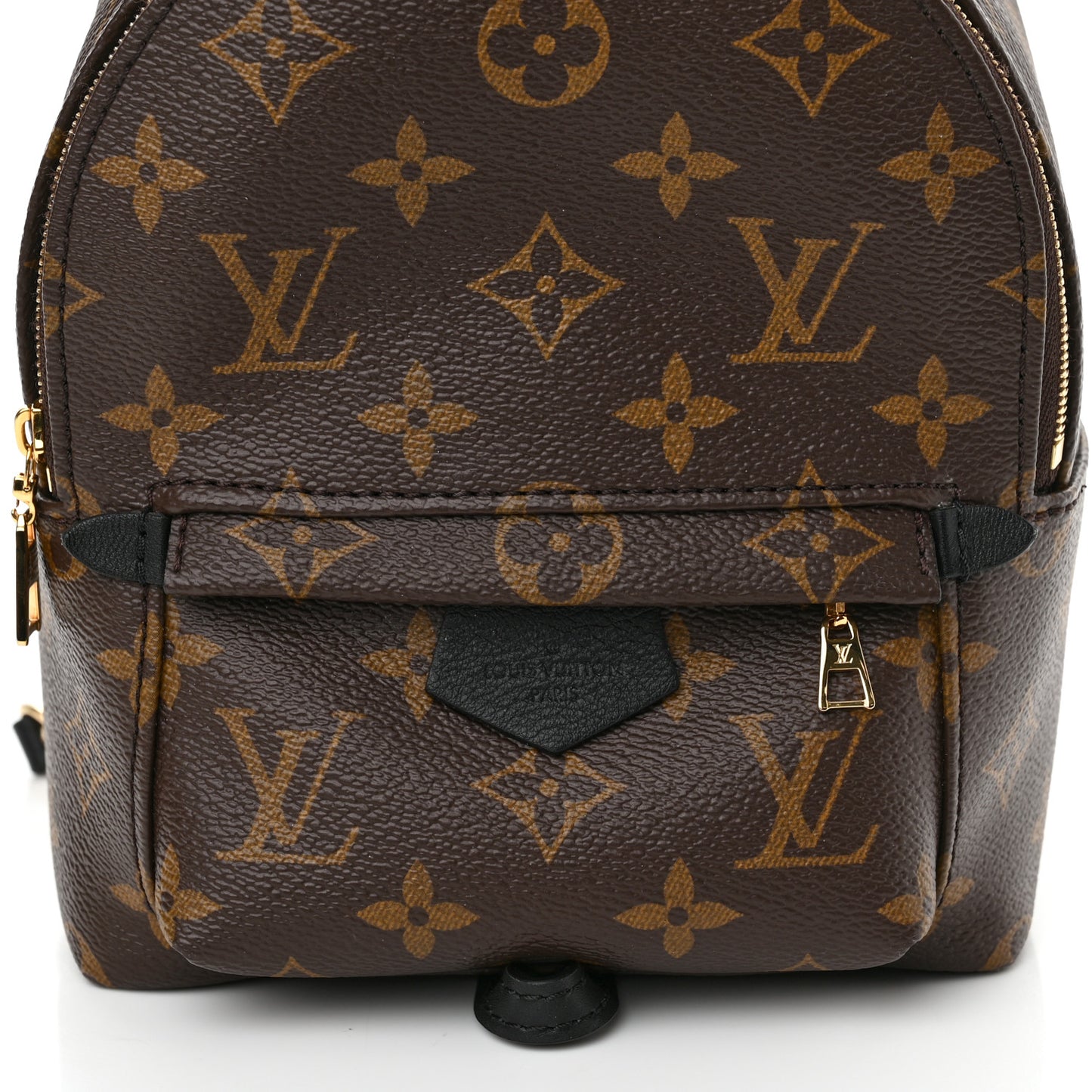 Monogram Palm Springs Backpack Mini
